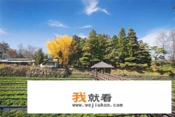 日本的网络模式和中国移动联动通用吗？