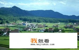 日本的网络模式和中国移动联动通用吗？