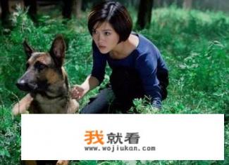 神犬奇兵综艺一共几季？