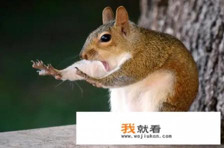 人为什么更喜欢活在虚幻的世界?求大神帮助？