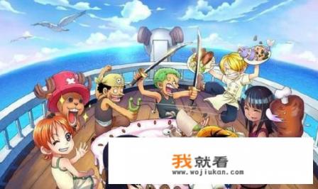 海贼王从哪几集开始好看？