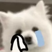 史上最坑爹的游戏14第一至六关攻略？