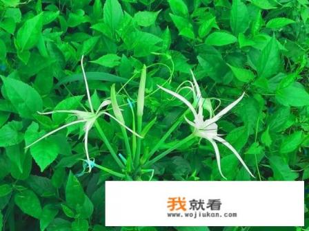 怎样戒游戏? 怎样戒游戏?