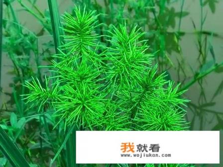 怎样戒游戏? 怎样戒游戏?