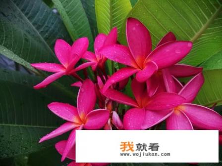 怎样戒游戏? 怎样戒游戏?