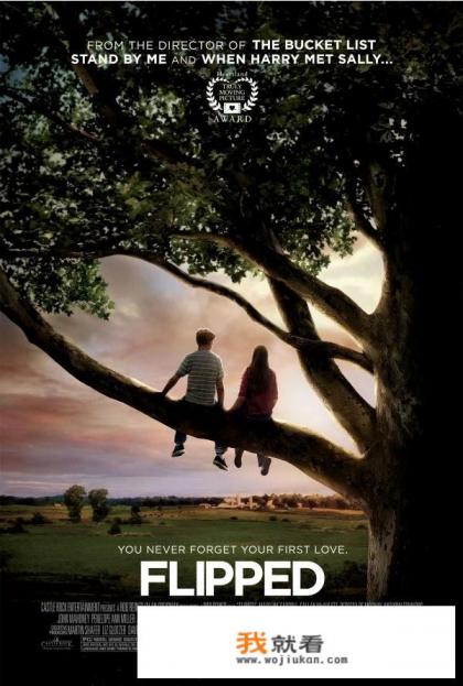 谁知道有什么青春期适合看的电视剧呀? 谁知道有什么青春期适合看的电视剧呀?