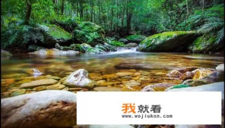 爱百游网络科技有限公司干嘛的? 爱百游网络科技有限公司干嘛的?