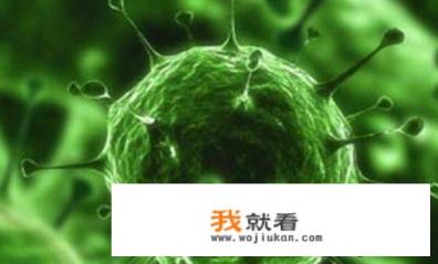 谁知道对新型冠状病毒的体会作文500字？