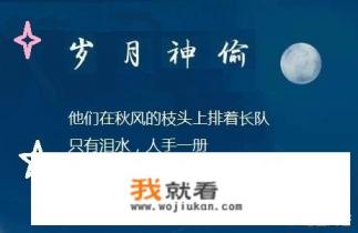 岁月神偷表达什么意思？