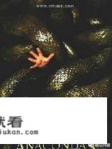 史上最经典电影排行榜是怎样的？