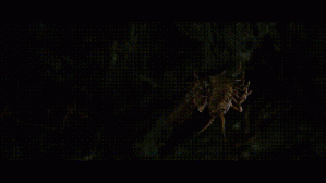 金刚骷髅岛是哪一年上映的？