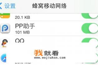 苹果手机如何限制应用联网？