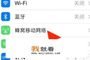 苹果手机如何限制应用联网？