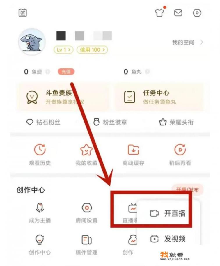 王者荣耀露脸的直播怎么设置？