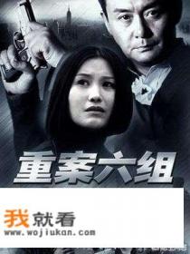 最近有什么好看的的破案推理类电视剧？