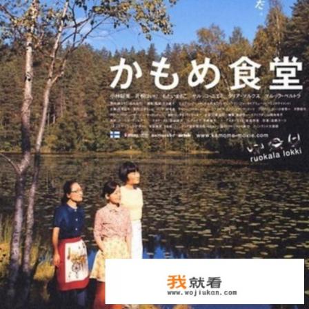 有什么治愈系的电影电视剧或者动漫吗？