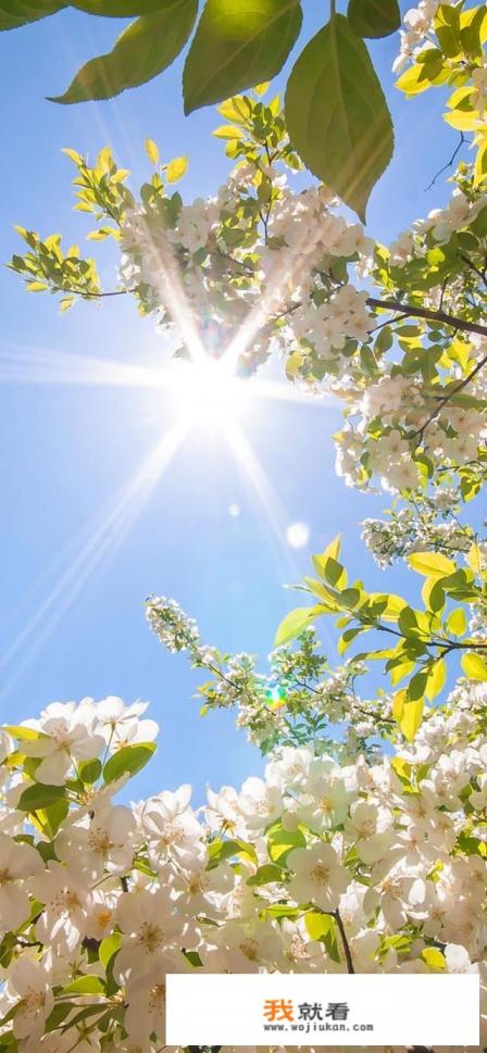 安卓手机app试玩平台有哪些？