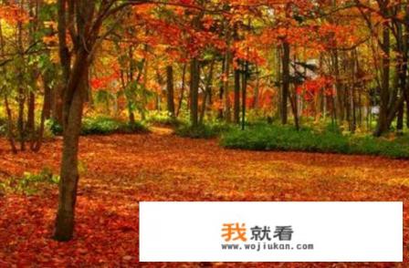 autumn中文叫什么名字？