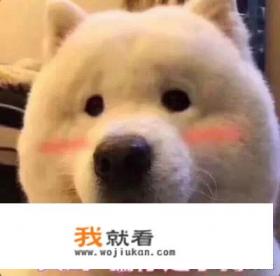 最触动人心的情感文案女生？