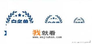 白名单是什么意思？