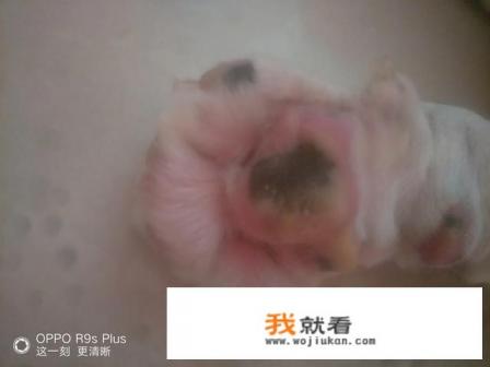 长江七号的寓意是什么？
