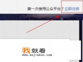 api支付是什么意思啊？
