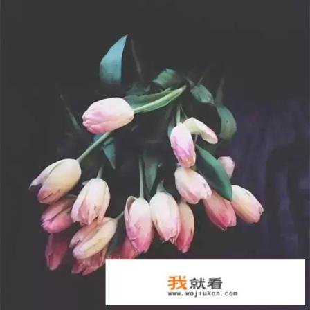 怎样才是完美人生？
