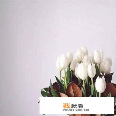 怎样才是完美人生？
