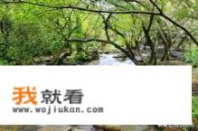 天赋和后天努力哪个重要？