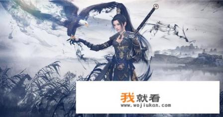 有一部电视剧是古装穿越到游戏世界？