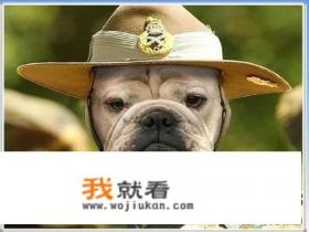 搞笑小故事逗人开心？