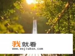 有没有好看的校园爱情小说？（男主总裁女主学生），求书？