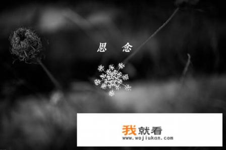 冷门思念一个人的诗句？