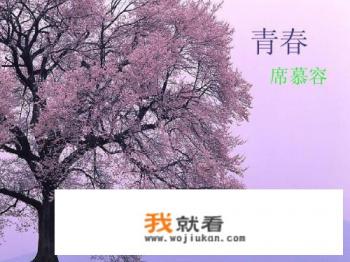 席慕容无怨的青春什么意思? 席慕容无怨的青春什么意思?