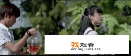 如何评价电影《天注定》? 如何评价电影《天注定》?