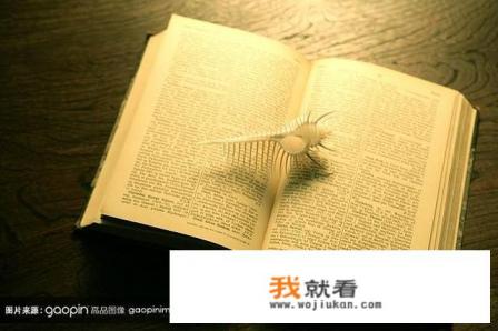 正常大脑与游戏成瘾大脑的区别? 正常大脑与游戏成瘾大脑的区别?