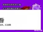 超级跑跑属于什么游戏？