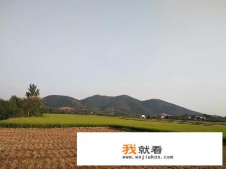 我家是农村的，想在农村干点什么，干什么好呢？
