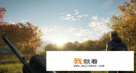 有没有一款比较休闲的,钓鱼,狩猎,养殖类的养成类网游? 有没有一款比较休闲的,钓鱼,狩猎,养殖类的养成类网游?