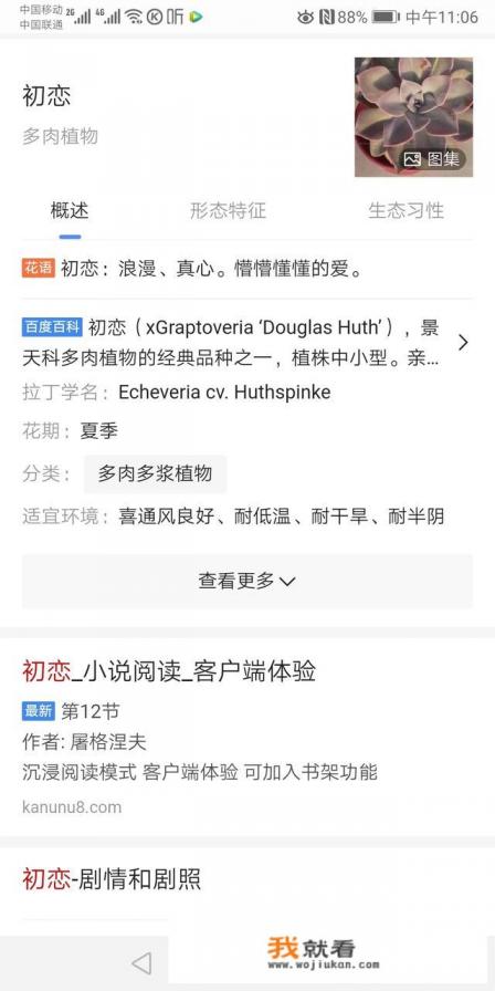 初恋是什么意思怎样才算初恋? 初恋是什么意思怎样才算初恋?