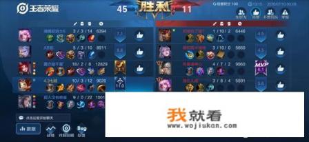 游戏录像的用途? 游戏录像的用途?