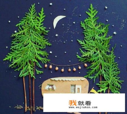 如何运用自然材料培养幼儿的美术创造力? 如何运用自然材料培养幼儿的美术创造力?