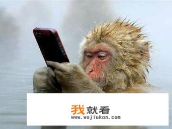 oppo手机真我x7 pro 至尊版玩游戏设置要调整哪个? oppo手机真我x7 pro 至尊版玩游戏设置要调整哪个?