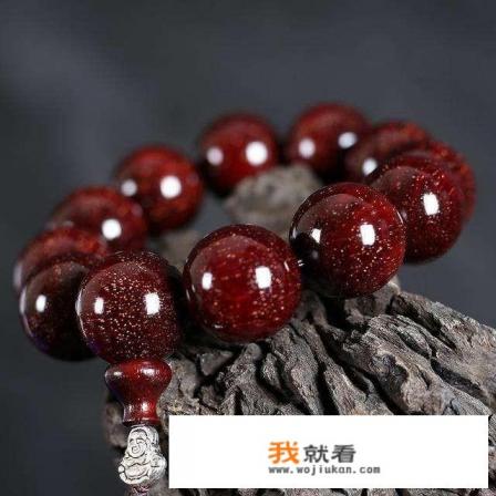 新手玩家应该如何正确挑选印度小叶紫檀手串? 新手玩家应该如何正确挑选印度小叶紫檀手串?