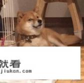90后男子沉迷游戏欠36.7万是怎么回事? 90后男子沉迷游戏欠36.7万是怎么回事?
