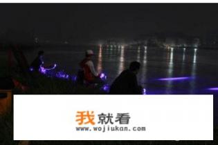 浙江嘉兴夜钓哪里有鲤鱼多点的钓点吗? 浙江嘉兴夜钓哪里有鲤鱼多点的钓点吗?