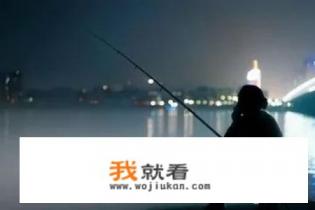 浙江嘉兴夜钓哪里有鲤鱼多点的钓点吗? 浙江嘉兴夜钓哪里有鲤鱼多点的钓点吗?