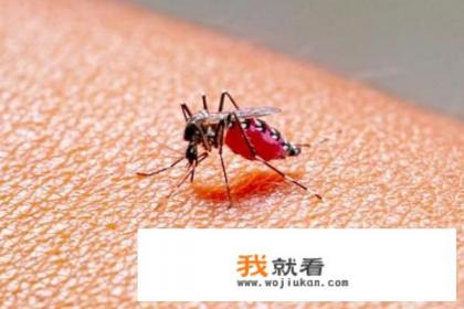 什么型的血不招蚊子? 什么型的血不招蚊子?