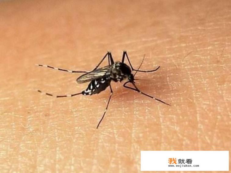 山东地区能用银黑色的地膜吗? 山东地区能用银黑色的地膜吗?