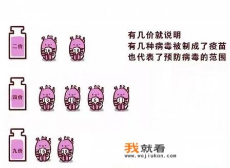 HPV疫苗是什么? HPV疫苗是什么?